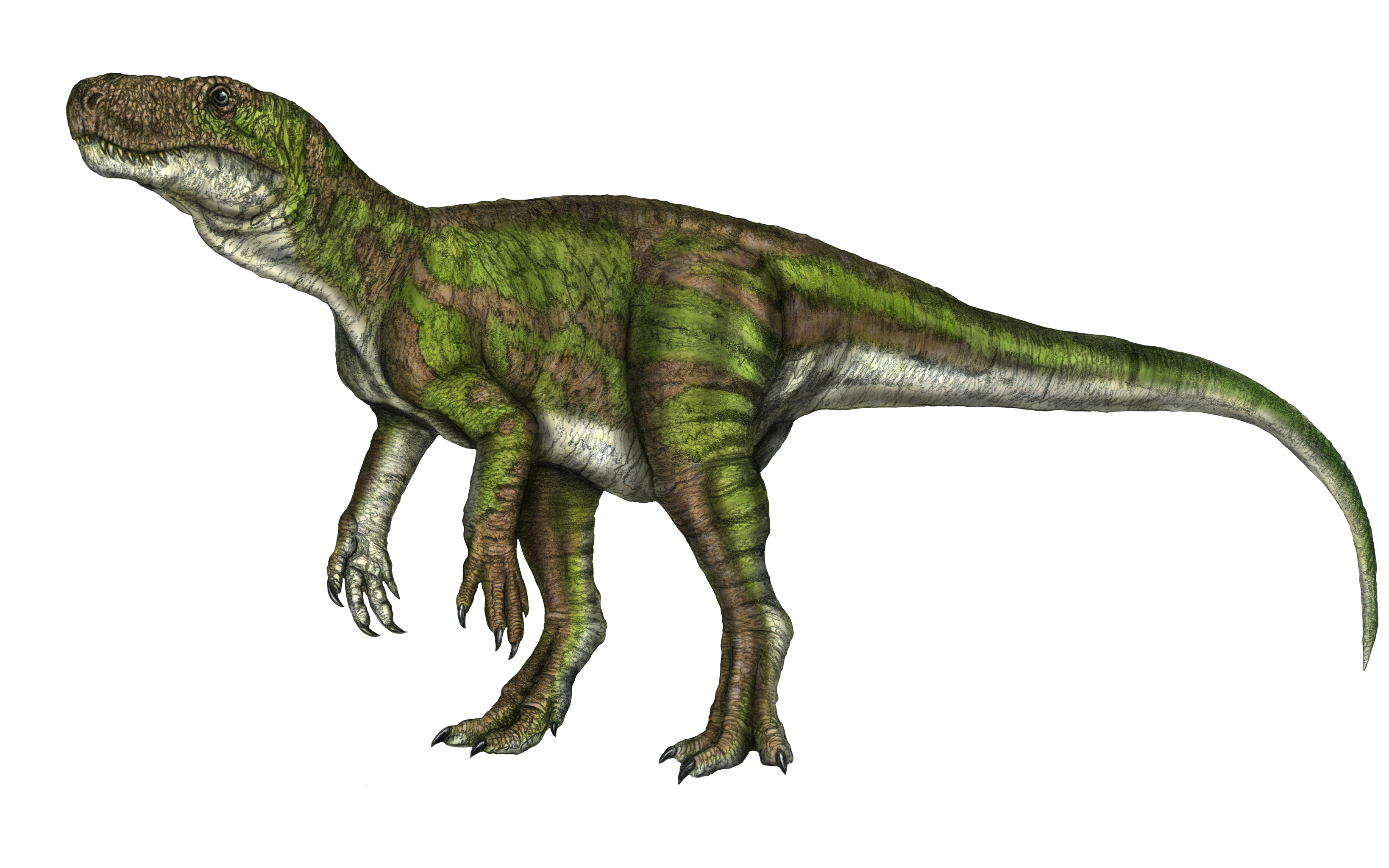 Łapa – finał projektu starego jak dinozaury