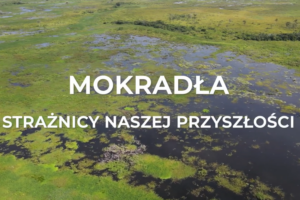 AKADEMIA ZRÓWNOWAŻONEGO ROZWOJU – Mokradła. Strażnicy naszej przyszłości