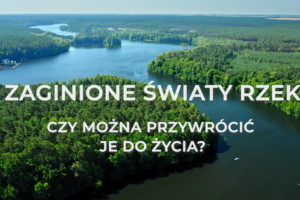 AKADEMIA ZRÓWNOWAŻONEGO ROZWOJU – Zaginione światy rzek. Czy można przywrócić je do życia?